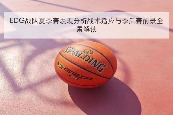 EDG战队夏季赛表现分析战术适应与季后赛前景全景解读